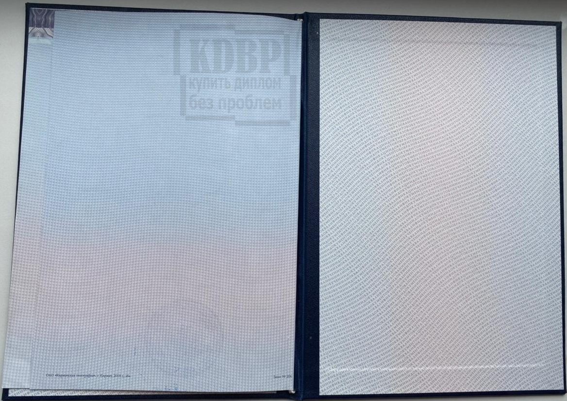 2 разворот диплома бакалавра 2019 года